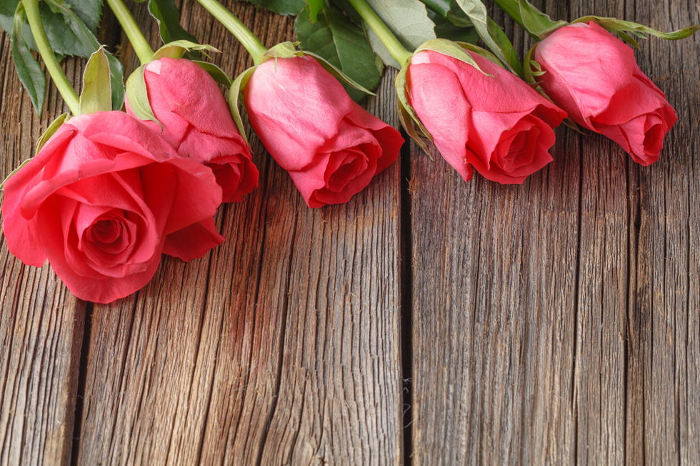 バラ＜Rose＞の花言葉　赤「愛情」白「純潔」ピンク「上品」黄色「嫉妬・友情」